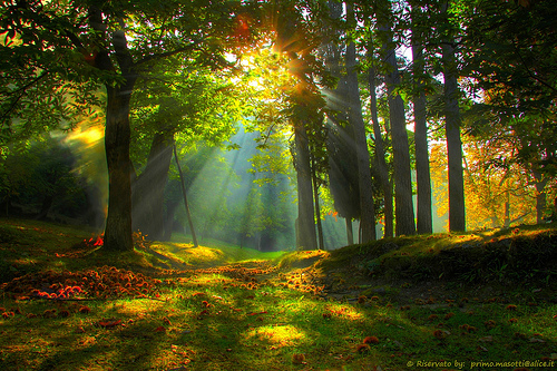 The Glory of Spirit Kingdom Living – By Ron McGatlin