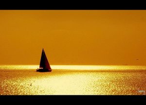 1n-golden-sea