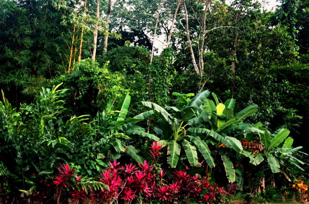 Walking in the Garden of Eden Spirit Reality