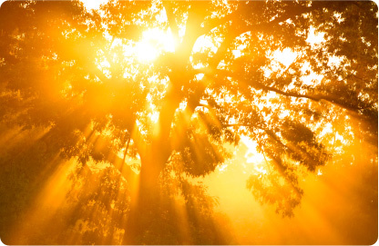 Being Caught Up Into A Higher Realm – Video – Wade E. Taylor