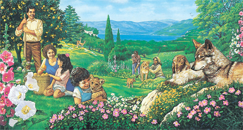 Full Time Kingdom Reality – By Ron McGatlin