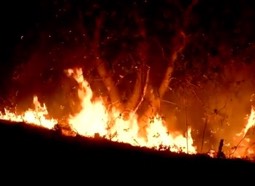 California: Firefighters Switch Battle Mode in Effort to Combat Deadly Redding Area Blaze