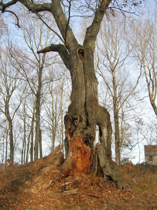 FRUIT THAT REMAINS – The End of an Era of God – By Ron McGatlin