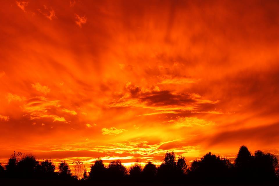 OUR CREATOR’S ORIGINAL PLAN – By Bob Kloppel