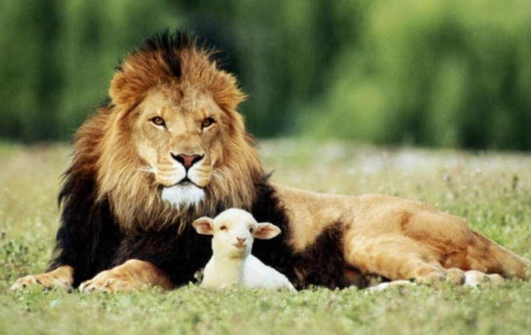 EXPERIENCING THE BOLDNESS OF JOY IN UNCONDITIONAL LOVE – Ron McGatlin