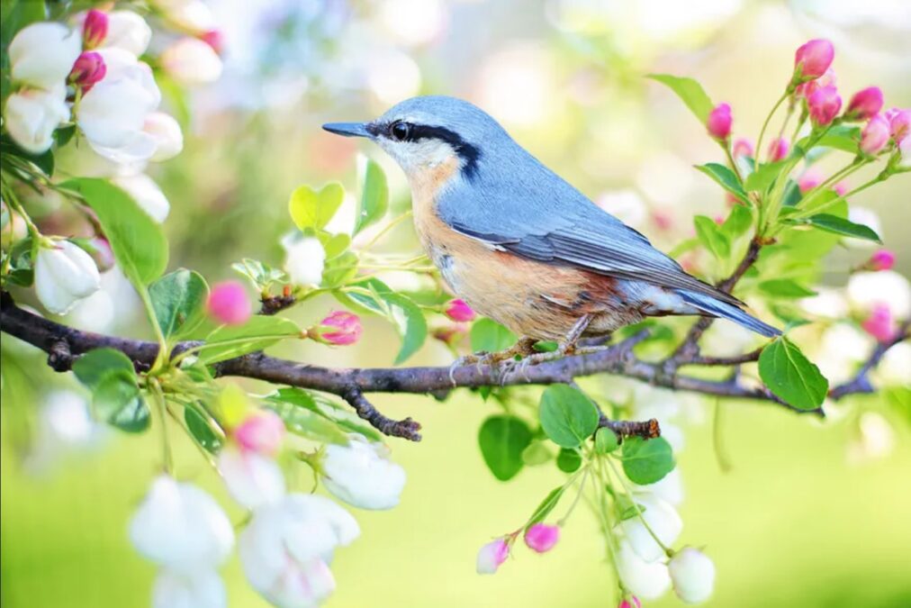 MIRACLES IN LIFE – Peggie Dunn