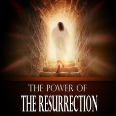 THE NEW KINGDOM ORDER – David Drew