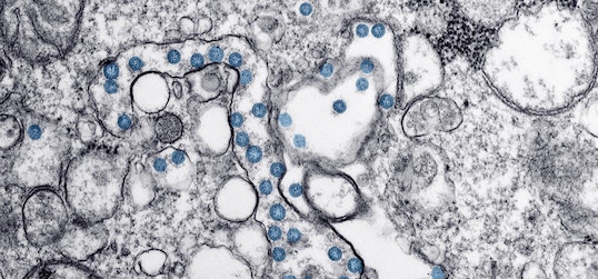 Cultural Apostasy: The Coronavirus in Context  – David & Virginia Orton