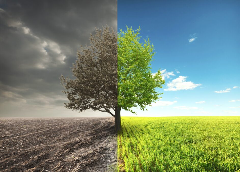 THE LIFE AND DEATH OF WORLD TRANSFORMATION – Ron McGatlin