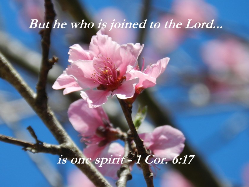 KINGDOM PRAYER OF JESUS AND HIS BRIDE – Ron McGatlin