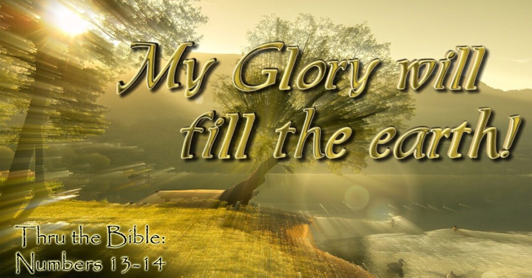 The Glory Is Coming – Lisa Great Enebeli