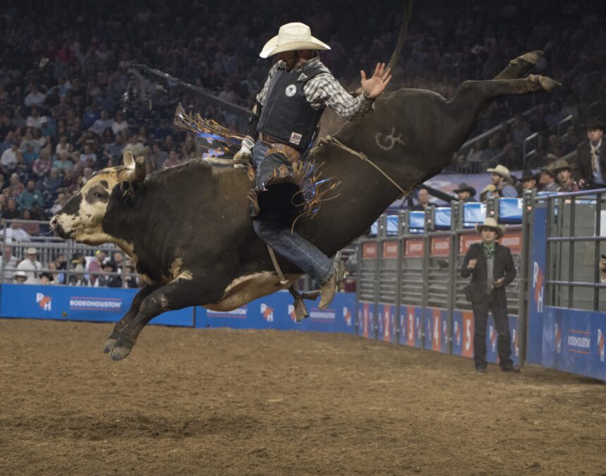Riding The Big Bull – Lisa Great Enebeli