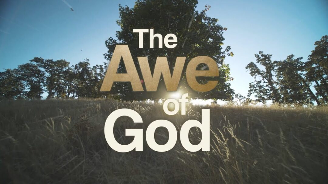“I AM GOING TO BAPTISE YOU IN AWE.” Lana Vawser