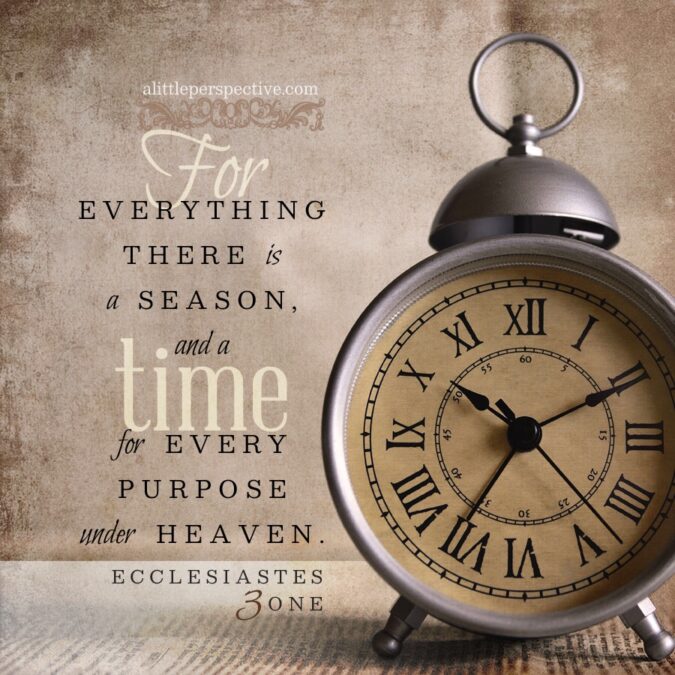What’s Your Purpose – Lisa Great Enebelli