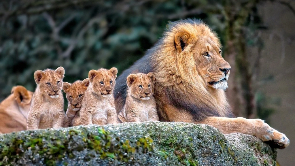 One Roar – Lisa Great Enebeli