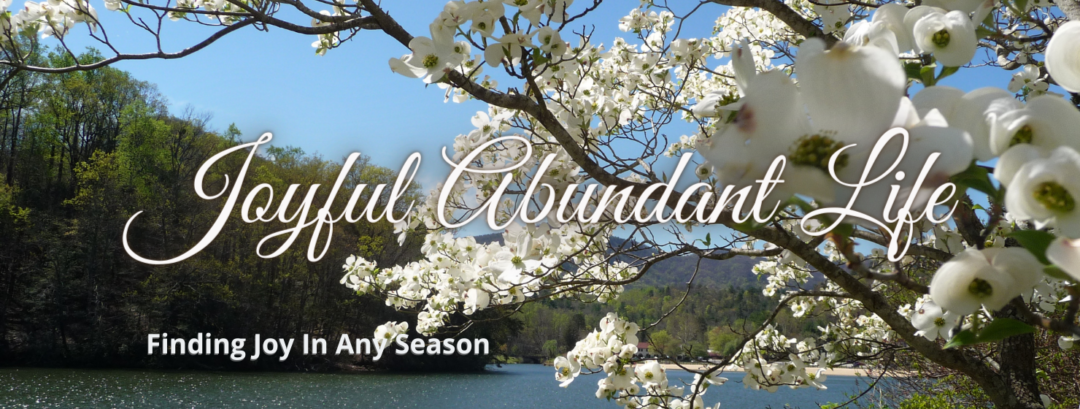 JOYFUL ABUNDANT LIFE ABOVE AND BEYOND – Ron McGatlin